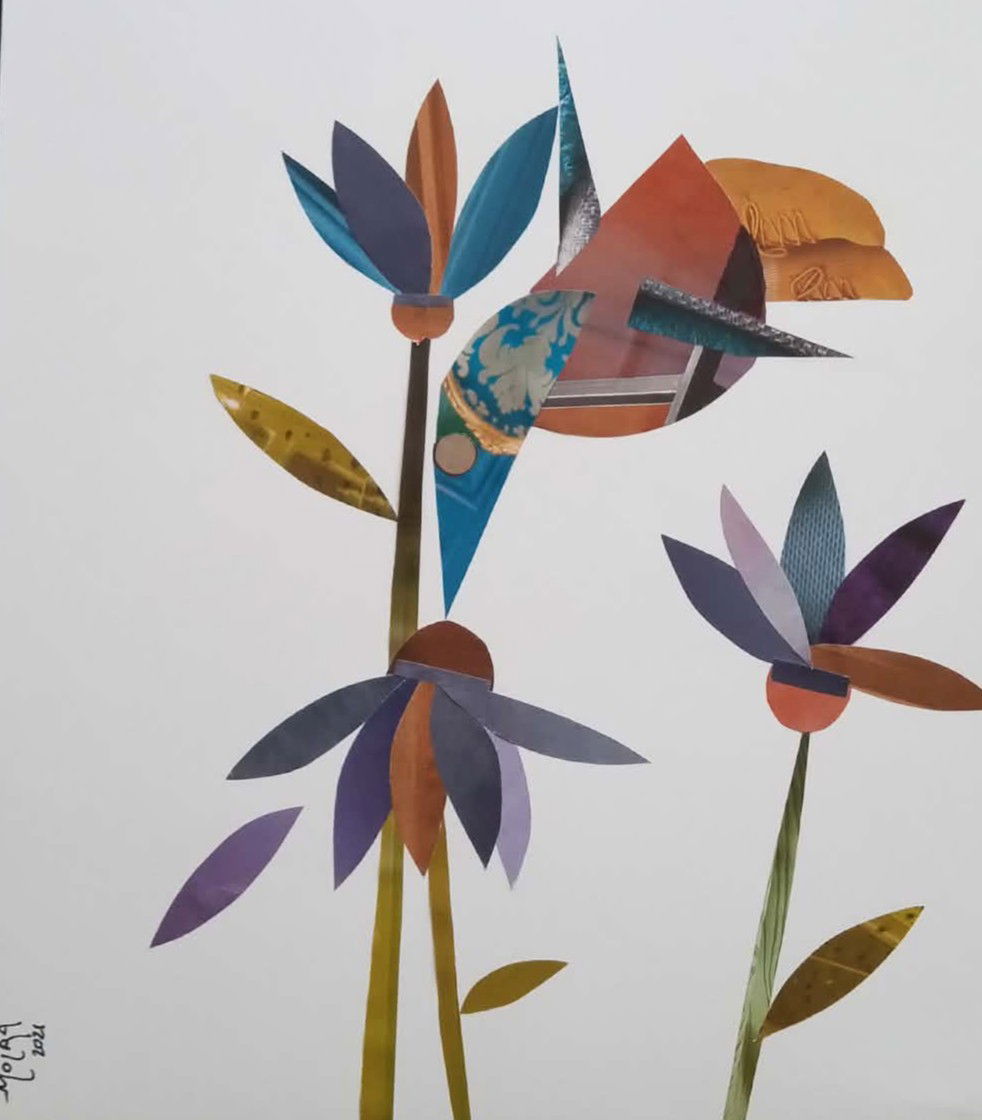 Le colibri des ¸iles