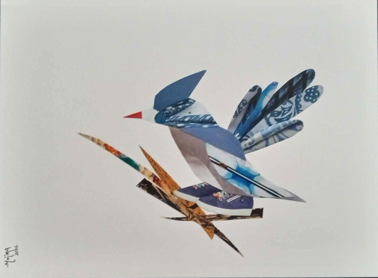 Le geai bleu d'Amérique