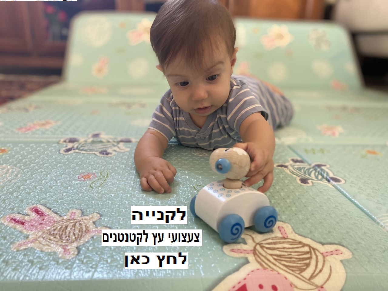 ריצ'רץ' וודי  צעצועי עץ לתינוקות