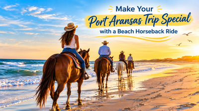 Make Your Port Aransas Trip Special with a Beach Horseback Ride