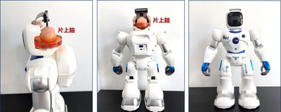 Roboter mit Hirn?