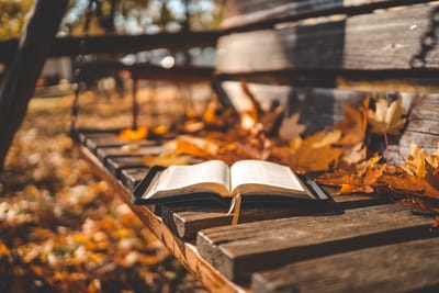 Mitweltschutz im Herbst und Winter: Herausforderungen und Lösungsansätze
