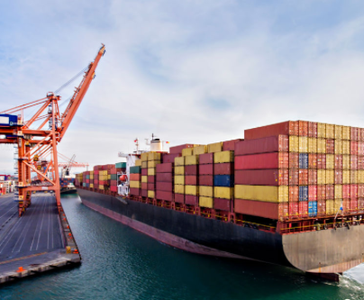 これまでの歩み