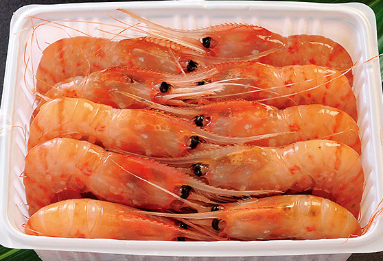 高級魚介類　　Premium Sea Food