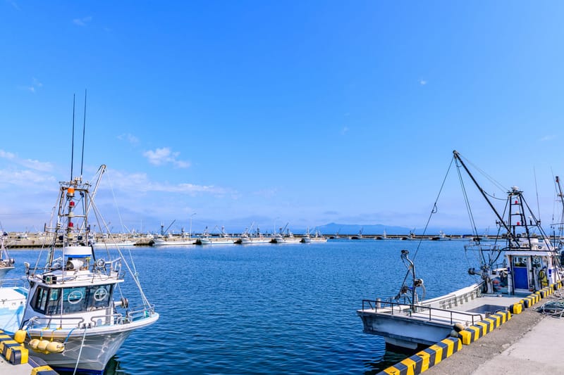 私たちについて