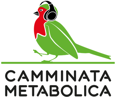 ๐ช๐๐๐๐๐๐๐๐ ๐ด๐๐๐๐๐๐๐๐๐ยฎ