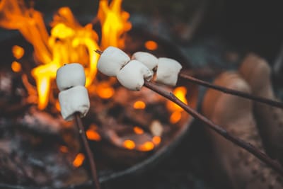 Family Campfire Session