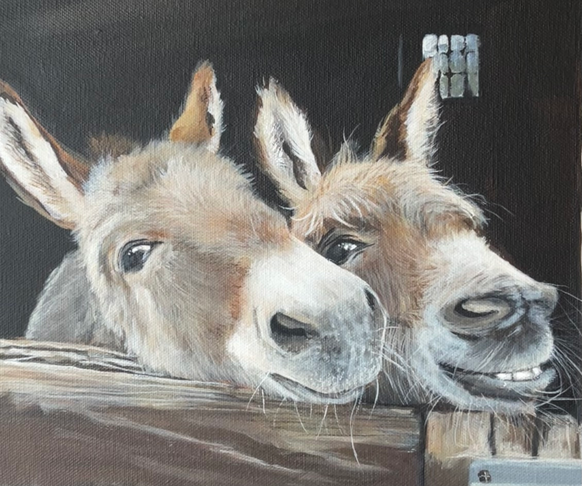 FOR SALE - Little Donkeys £170