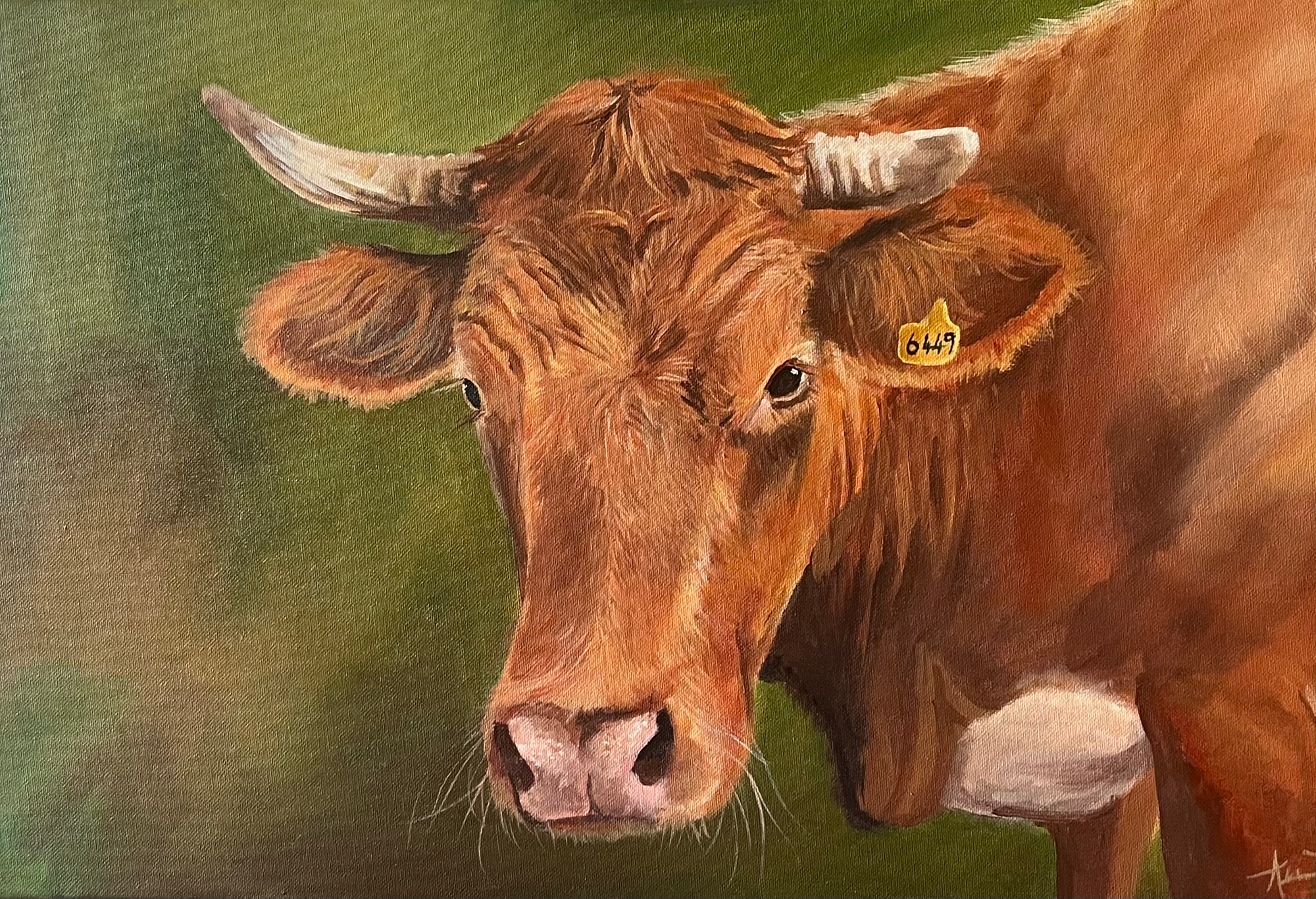 Slovenian Cow - FOR SALE