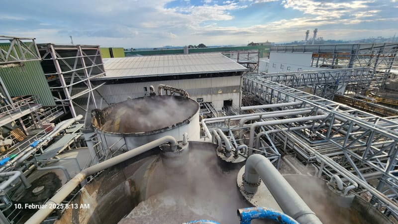 CASE STUDY 1 — פרויקט צנרת במפעל נייר