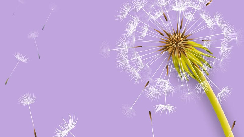 Keď osobnosť blízkeho sa mení ako meniaci sa tieň…