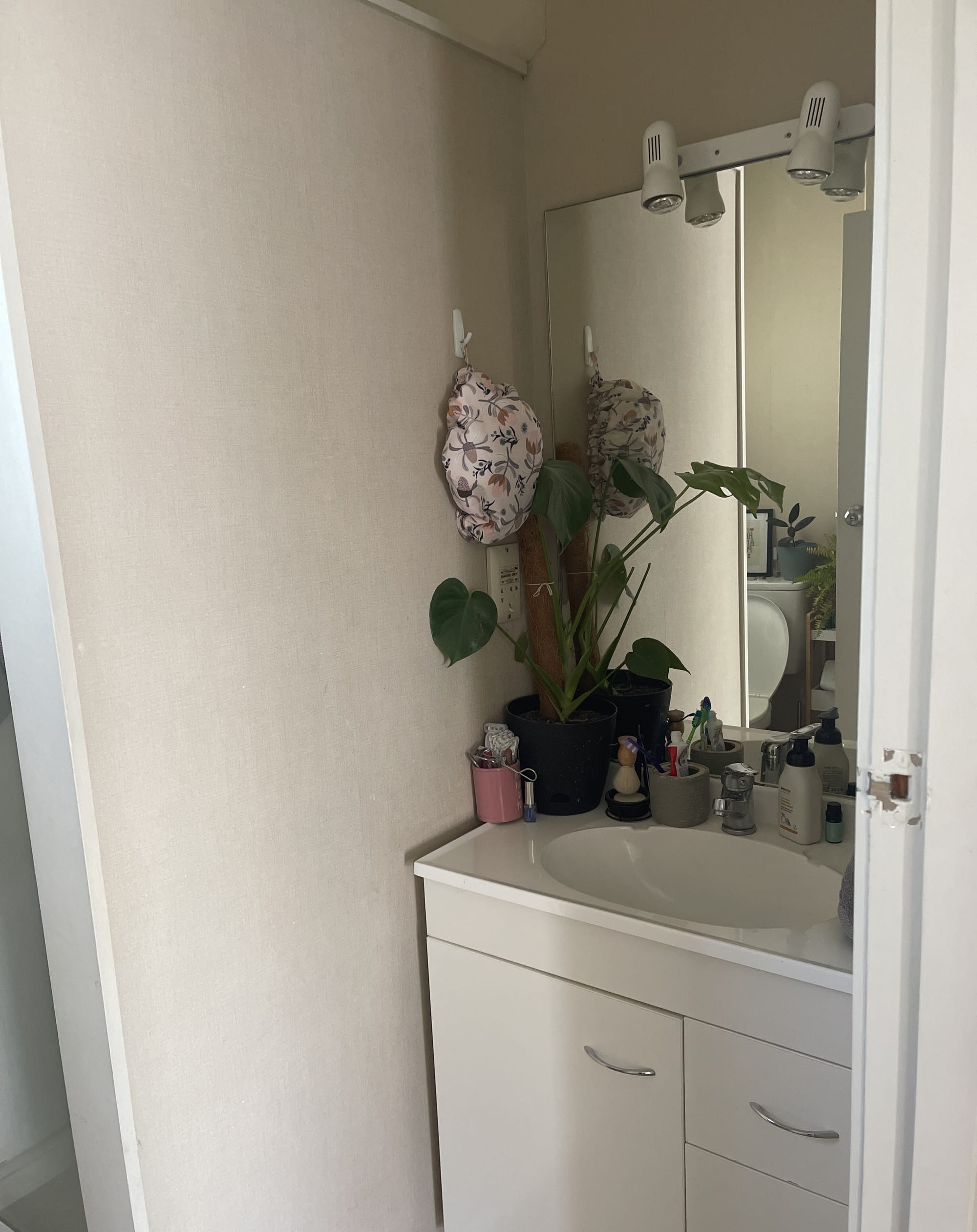 Cosy, sunny and great location