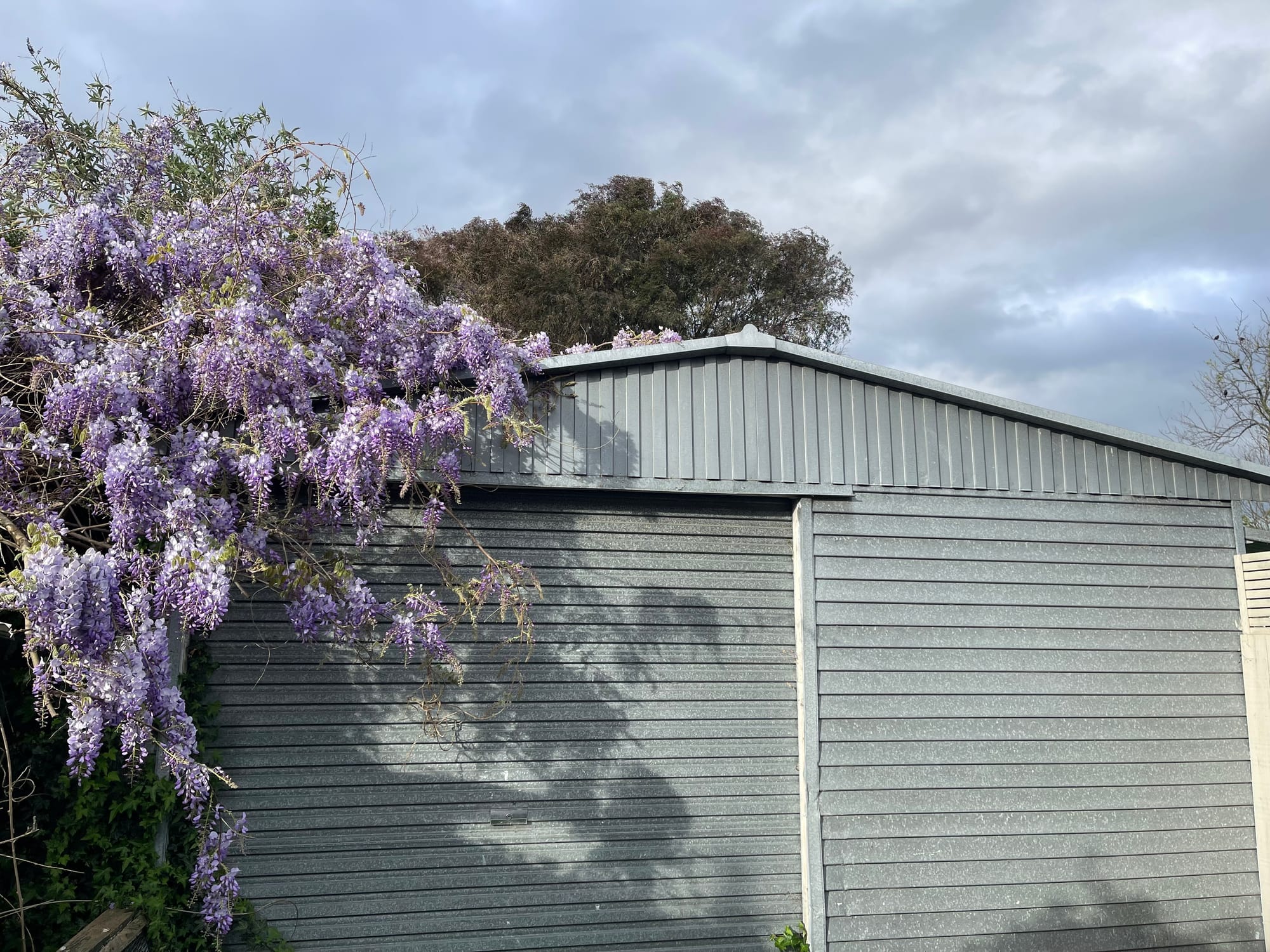 Space, Privacy and Location