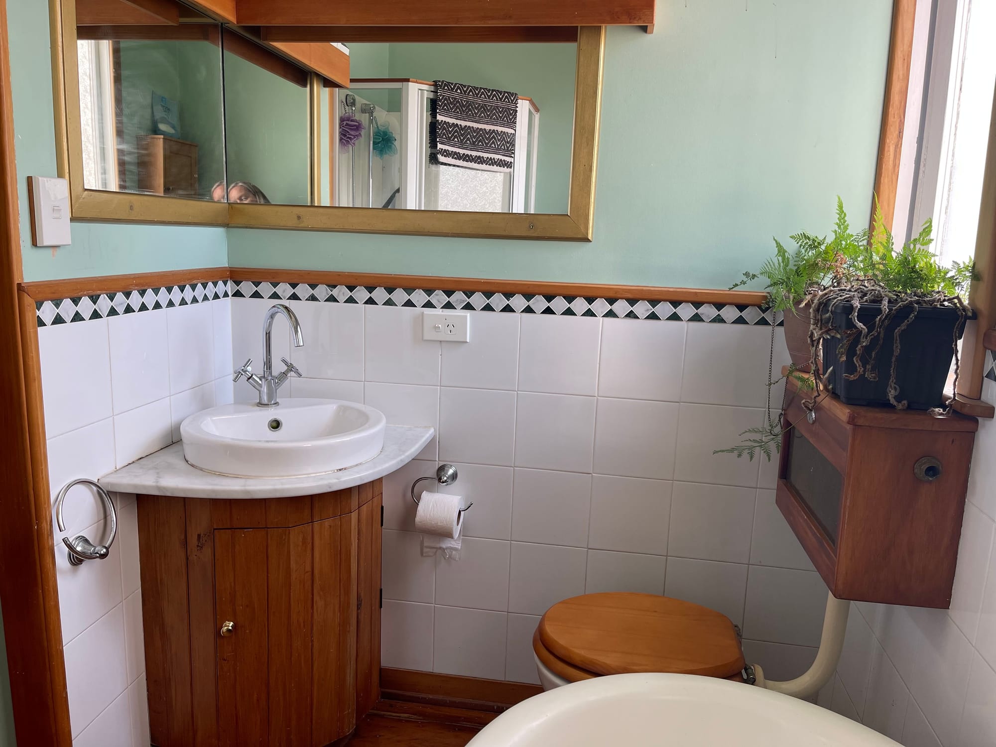 Private oasis in Napier South