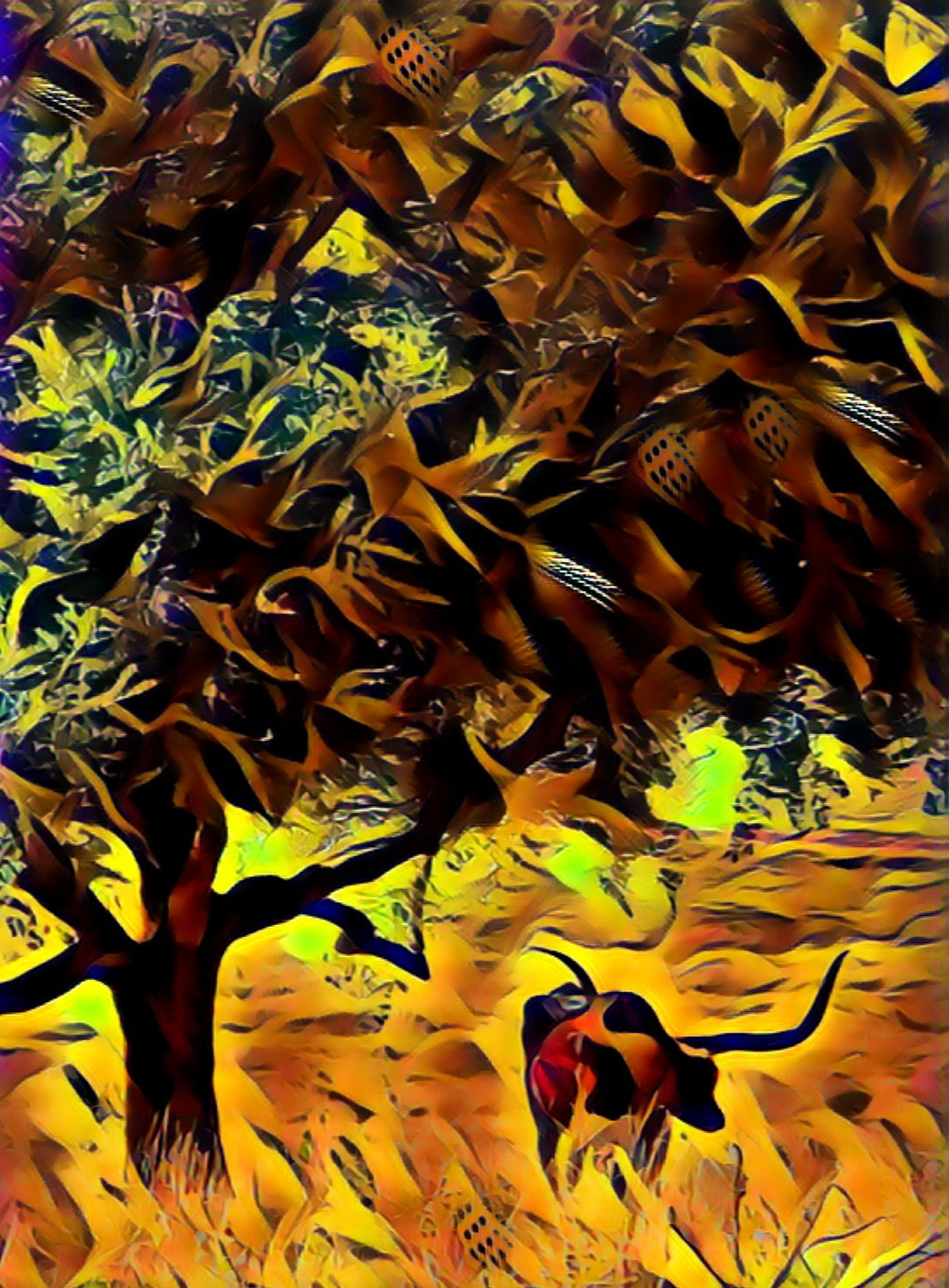 "I thought that I might"