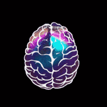 brainstrorm / science work image