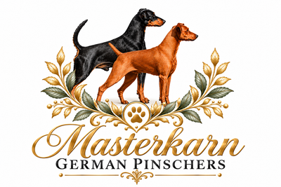 MASTERKARN GERMAN PINSCHERS