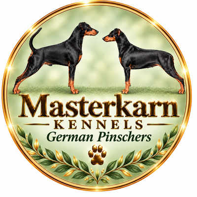 MASTERKARN GERMAN PINSCHERS