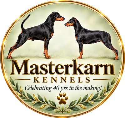 MASTERKARN GERMAN PINSCHERS