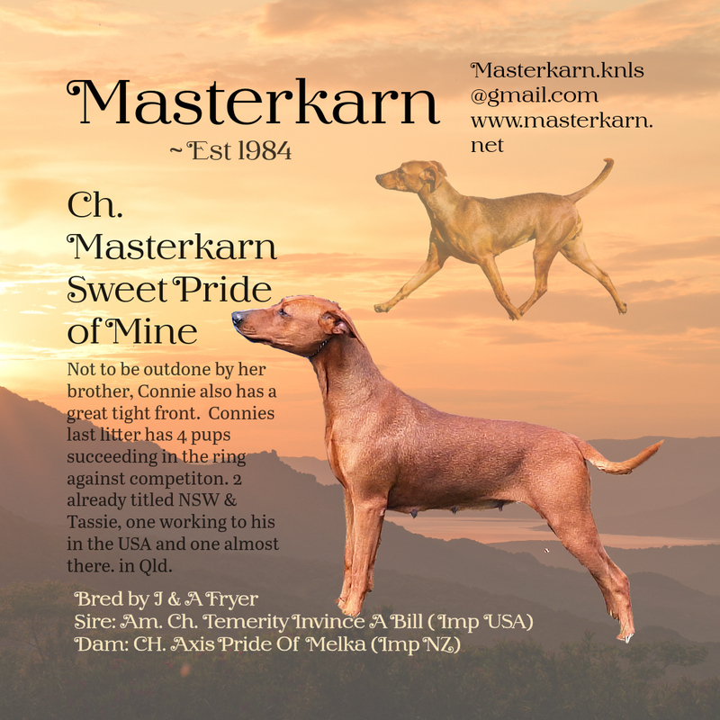 Ch. Masterkarn Sweet Pride Of Mine