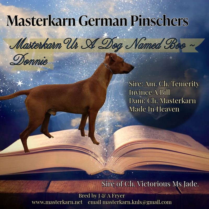 Masterkarn UR a Dog named Boo (retired)