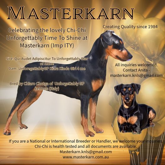 Breeding plans early 2026 -  James x  Chi Chi litter - APPLICATIONS OPENED
