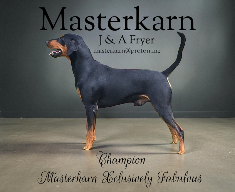 Ch. Masterkarn Xclusively Fabulous