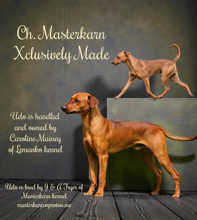 Aust. Ch. Masterkarn Xclusively Made