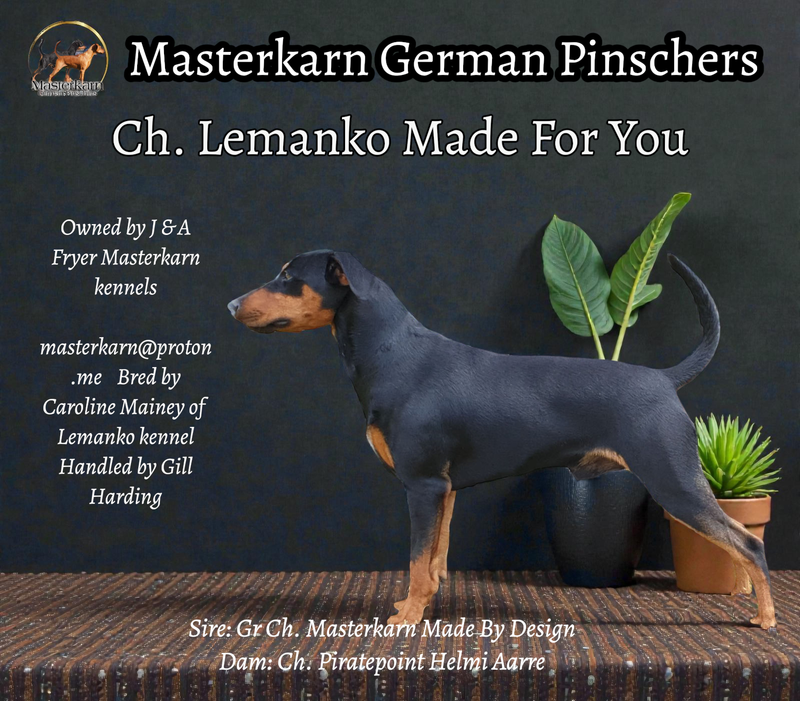 Ch. Lemanko Made for You (Retired)