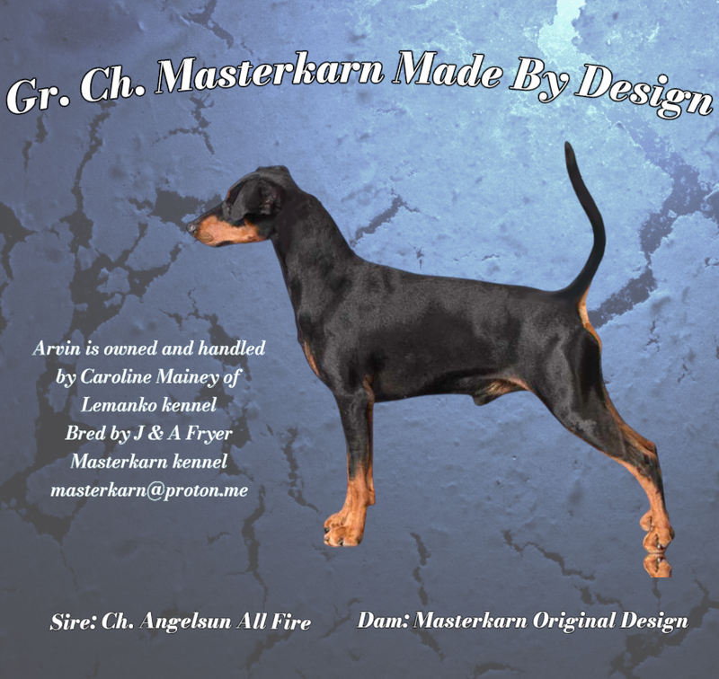 Gr. Ch. Masterkarn Made By Design