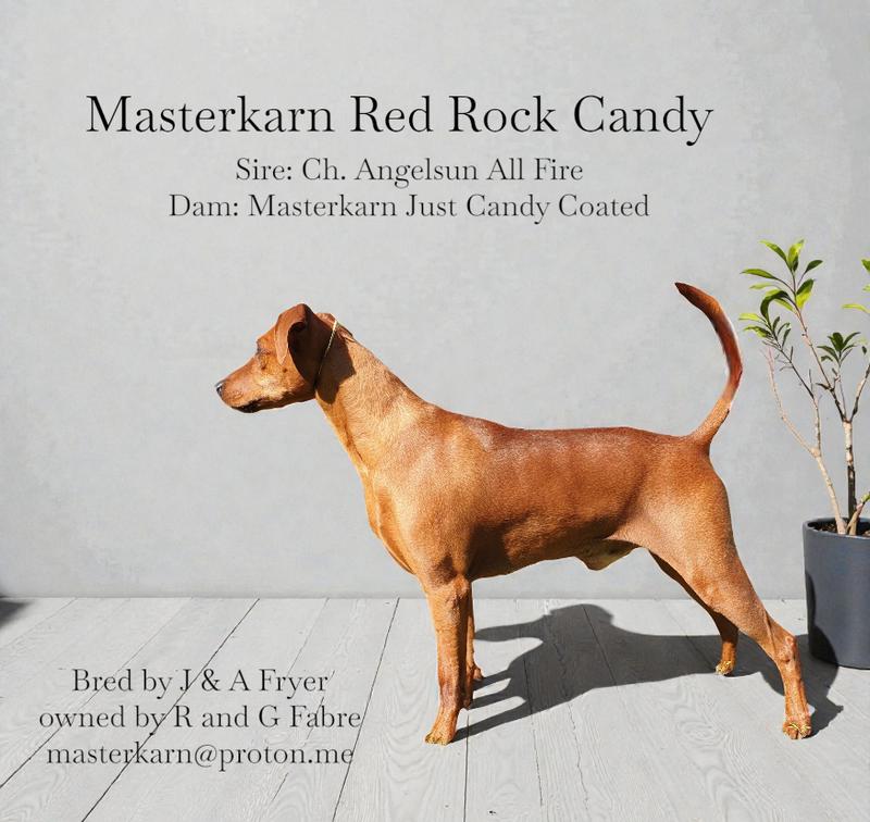 Masterkarn Red Rock Candy