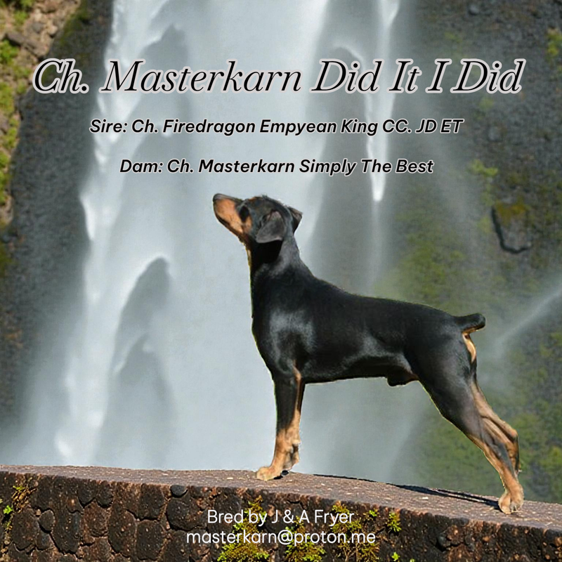 Ch. Masterkarn Did It I Did