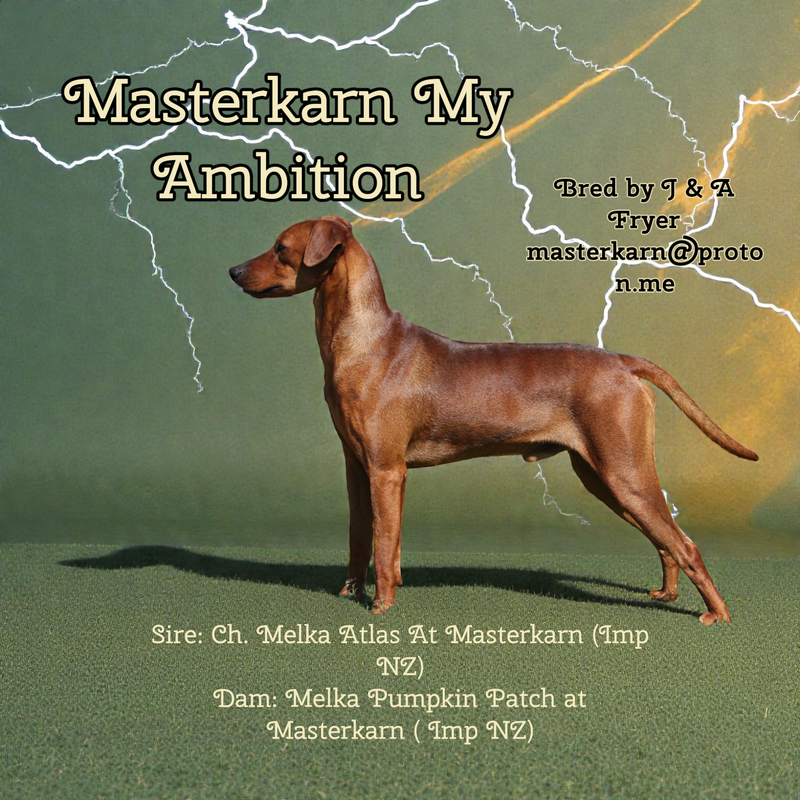 Masterkarn My Ambition