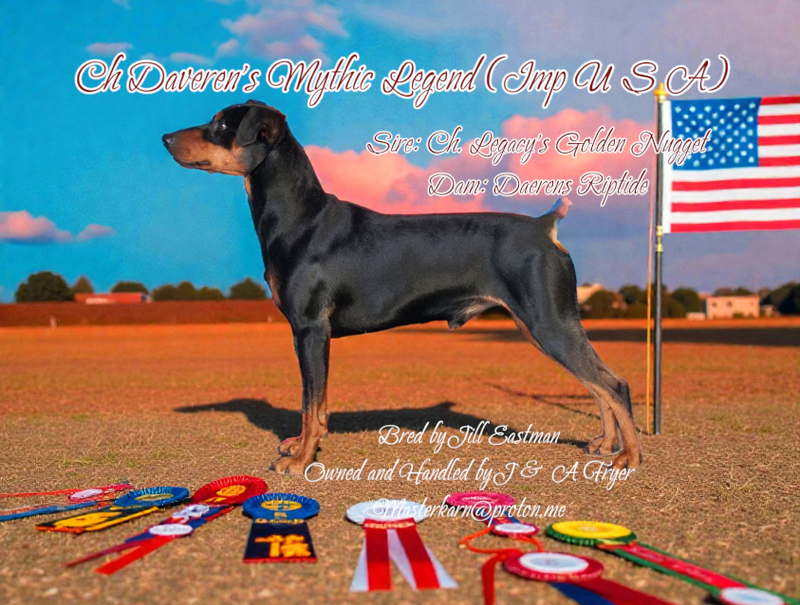 Ch. Daveren's Mythic Legend at Masterkarn (Imp USA)