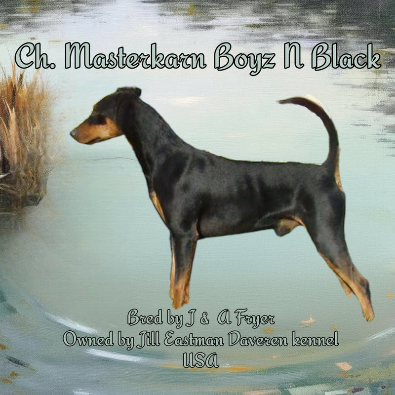 Ch Masterkarn Boyz n Black (Export USA)
