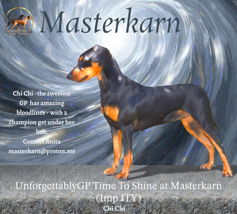 Unforgettably Time To Shine at Masterkarn (Imp ITALY)