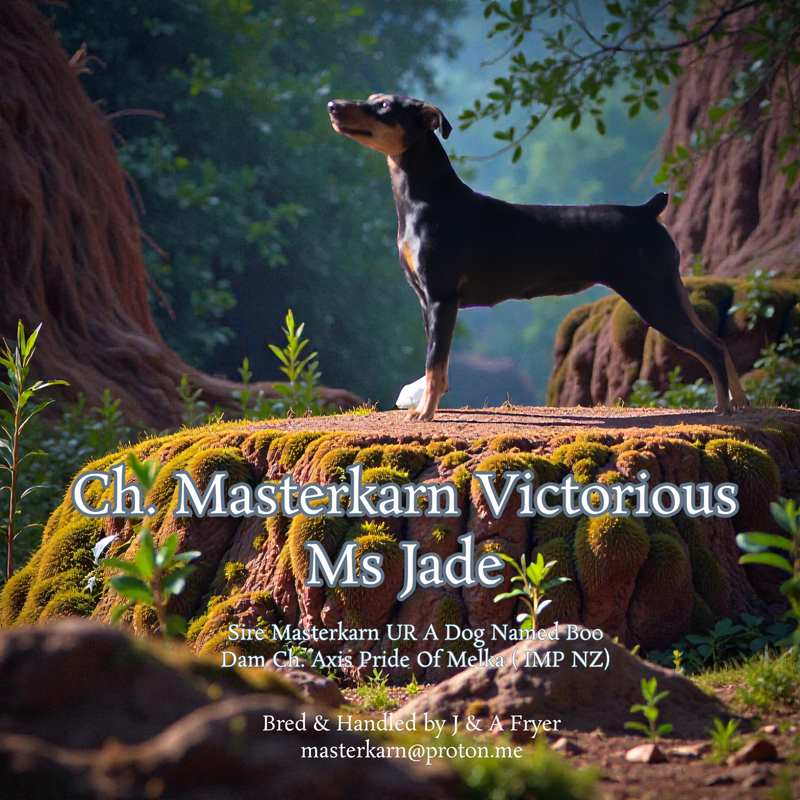 Ch. Masterkarn Victorious Ms Jade - Jade
