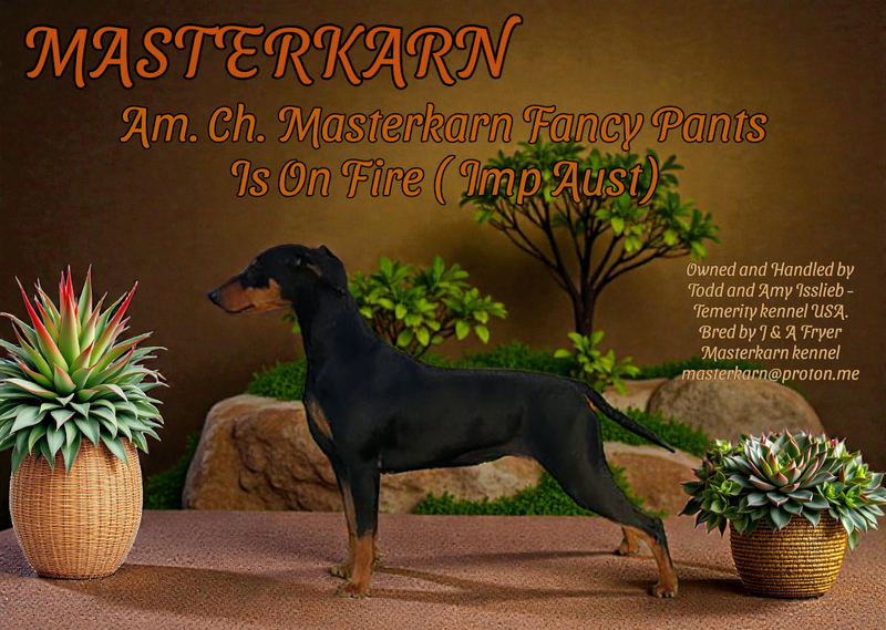 Am Ch. Masterkarn Fancy Pants IsOn Fire Export USA)