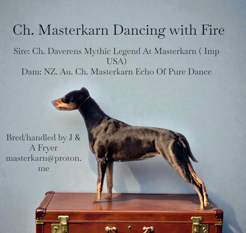Ch. Masterkarn Dancing with Fire