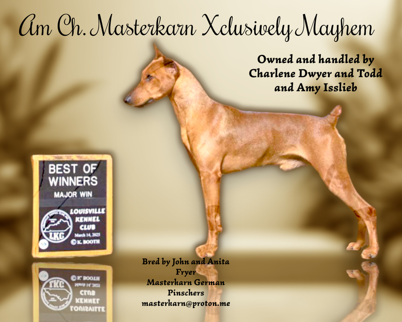 Masterkarn Xclusively Mayhem