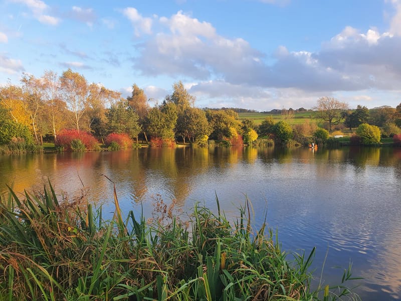 Junior Fishing Matches