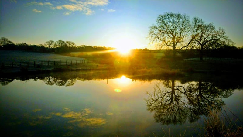 Parent & Child Fishing Session