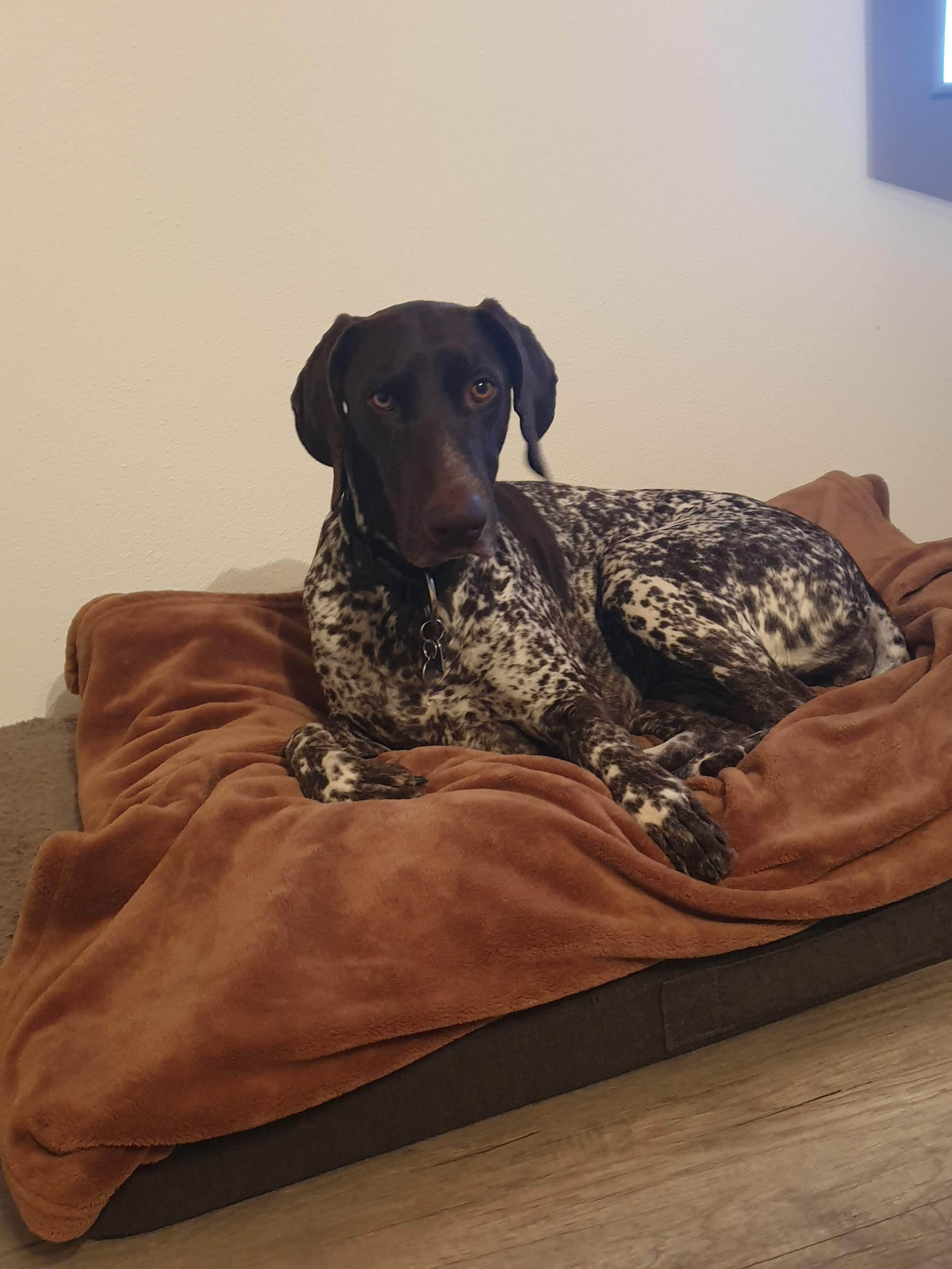 Birka