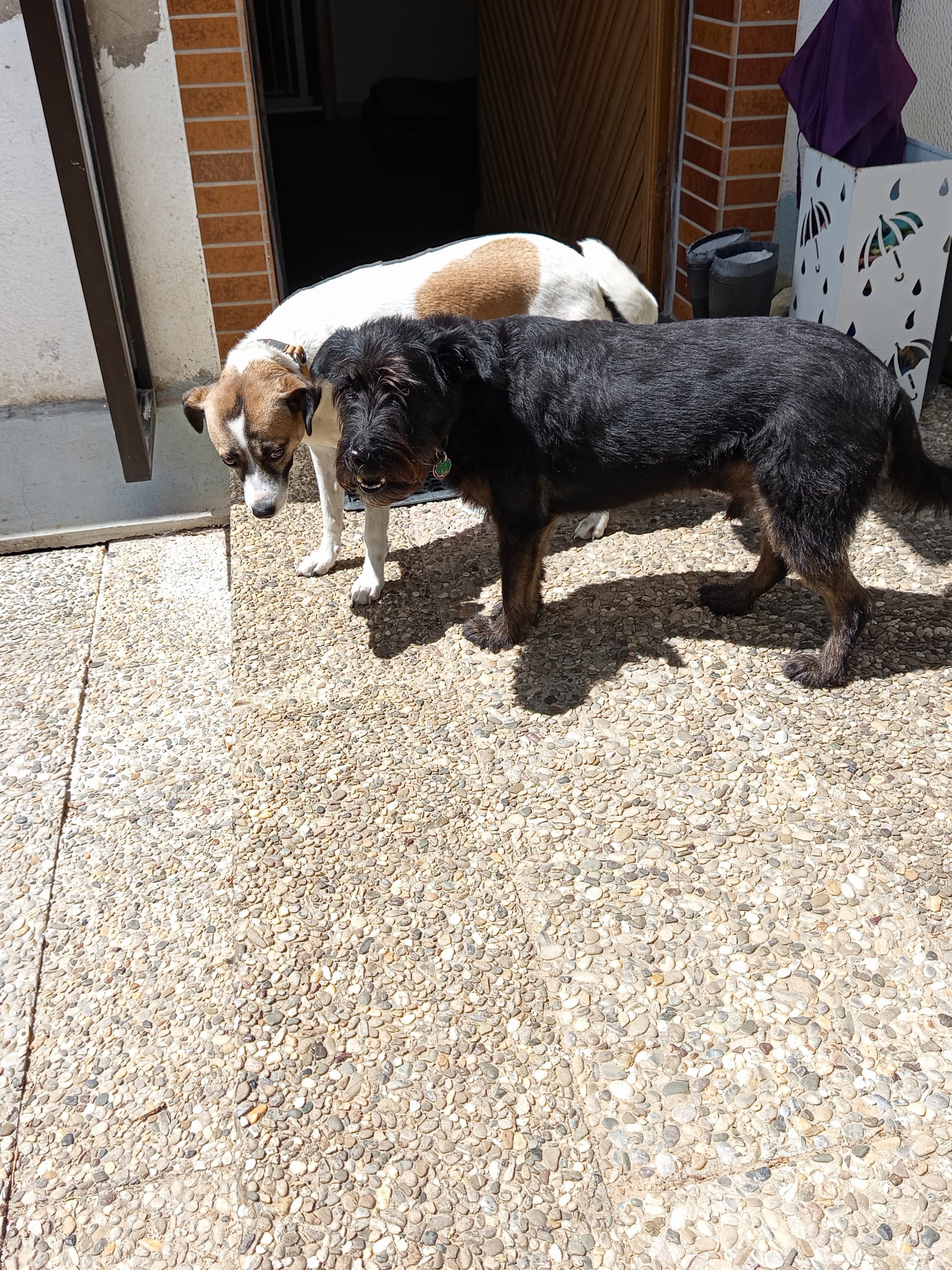 Luna+Joschi