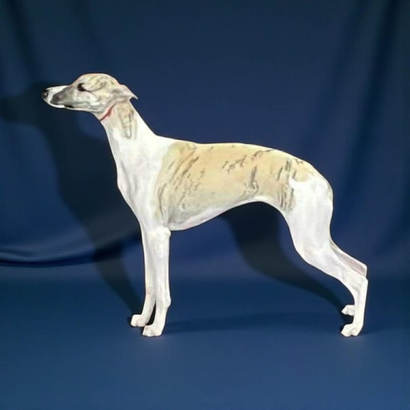 Jsy CH SILKRIDGE JEAN GENIE FOR PETWALK