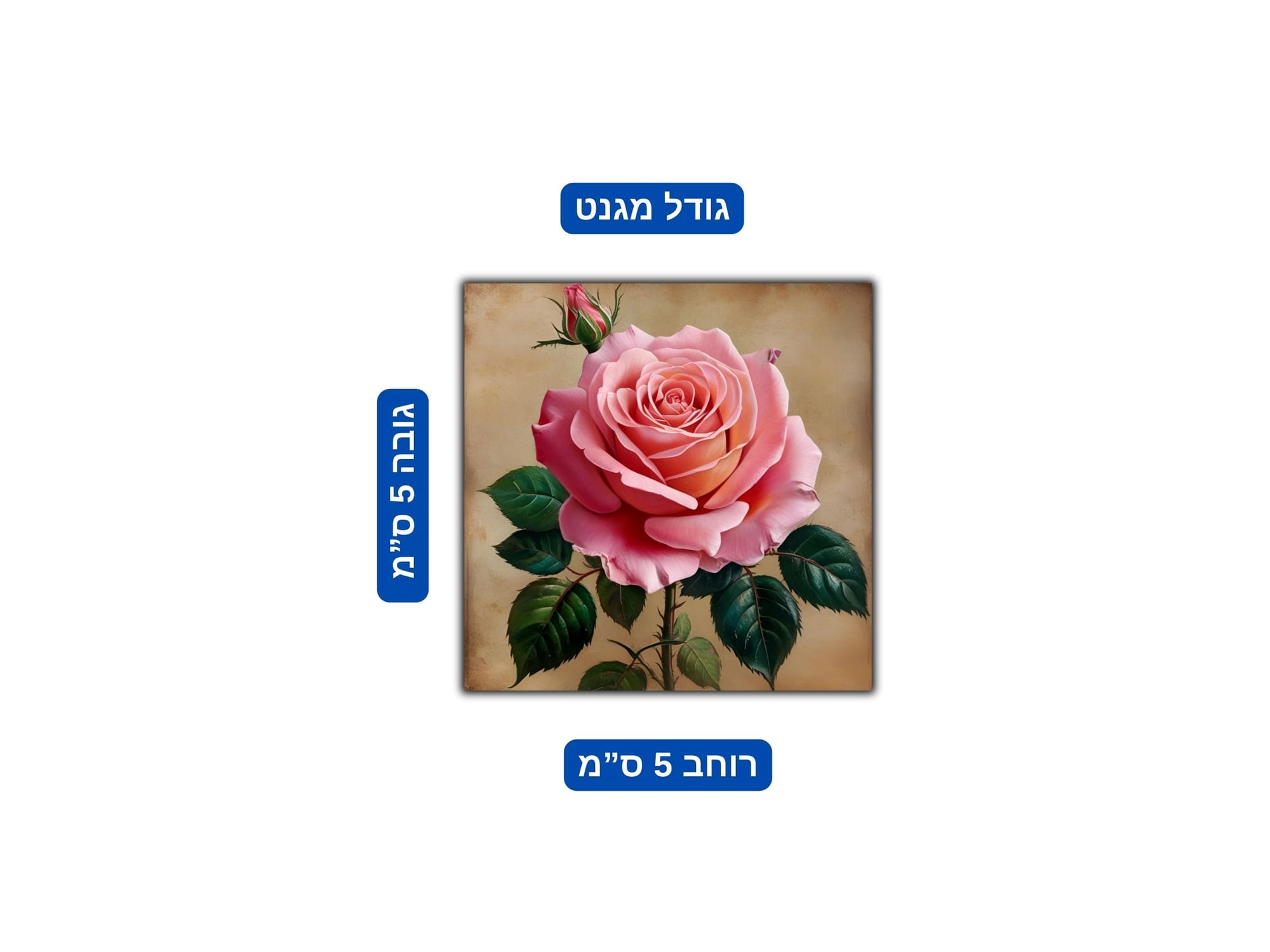 גודל מגנט