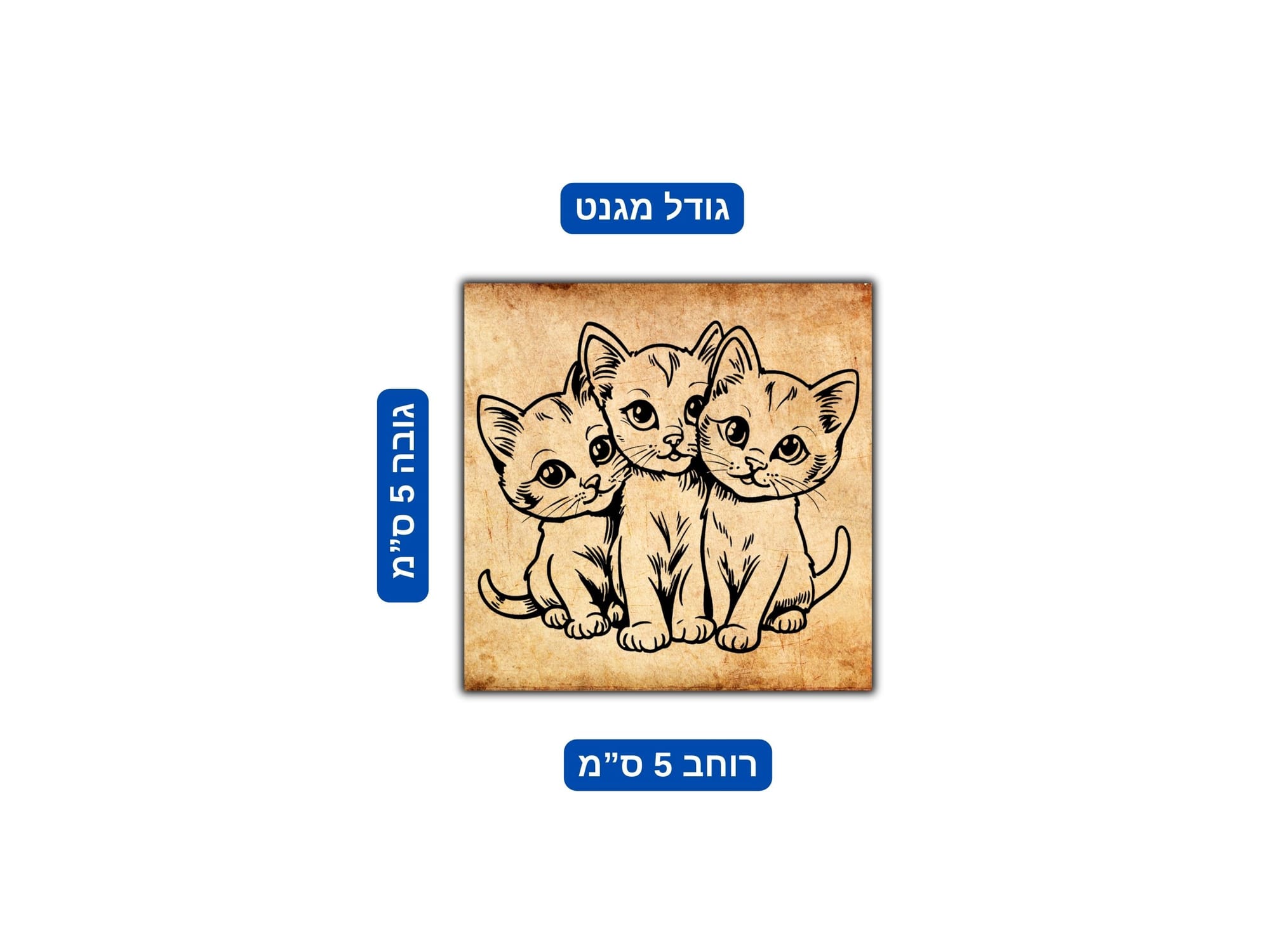 גודל מגנט