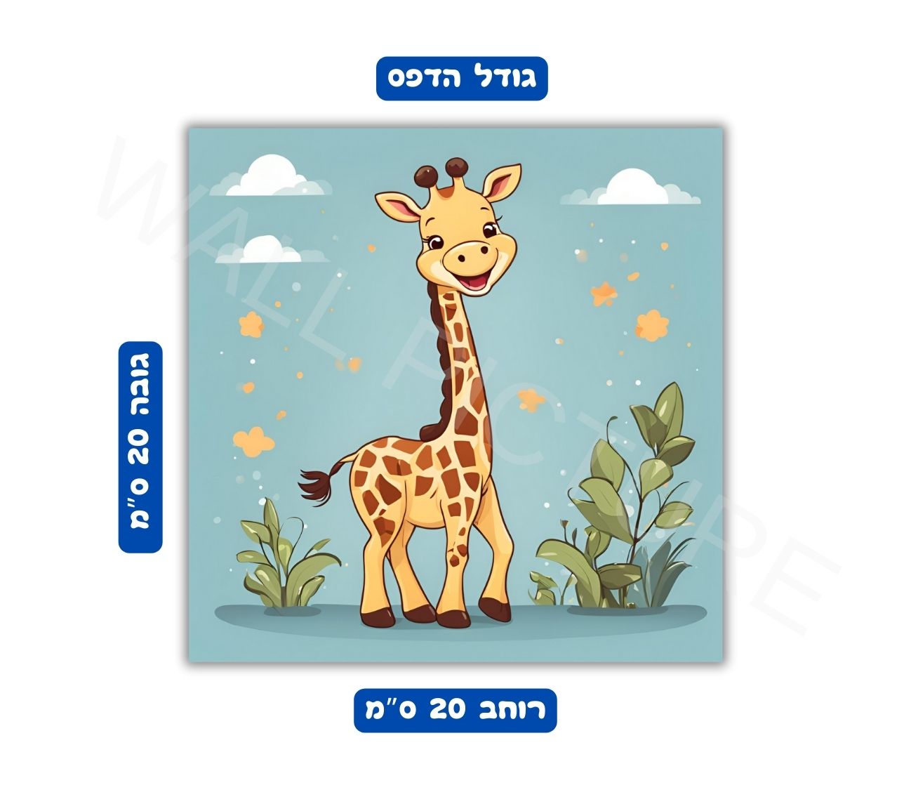 מידות פוסטר הדפס 