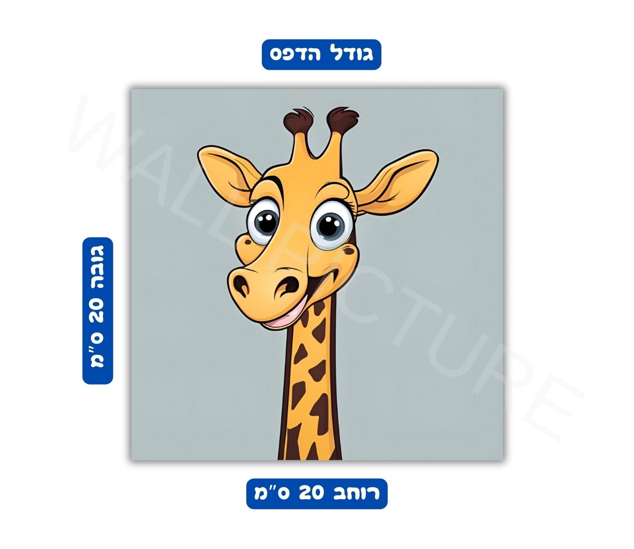 מידות הדפס פוסטר