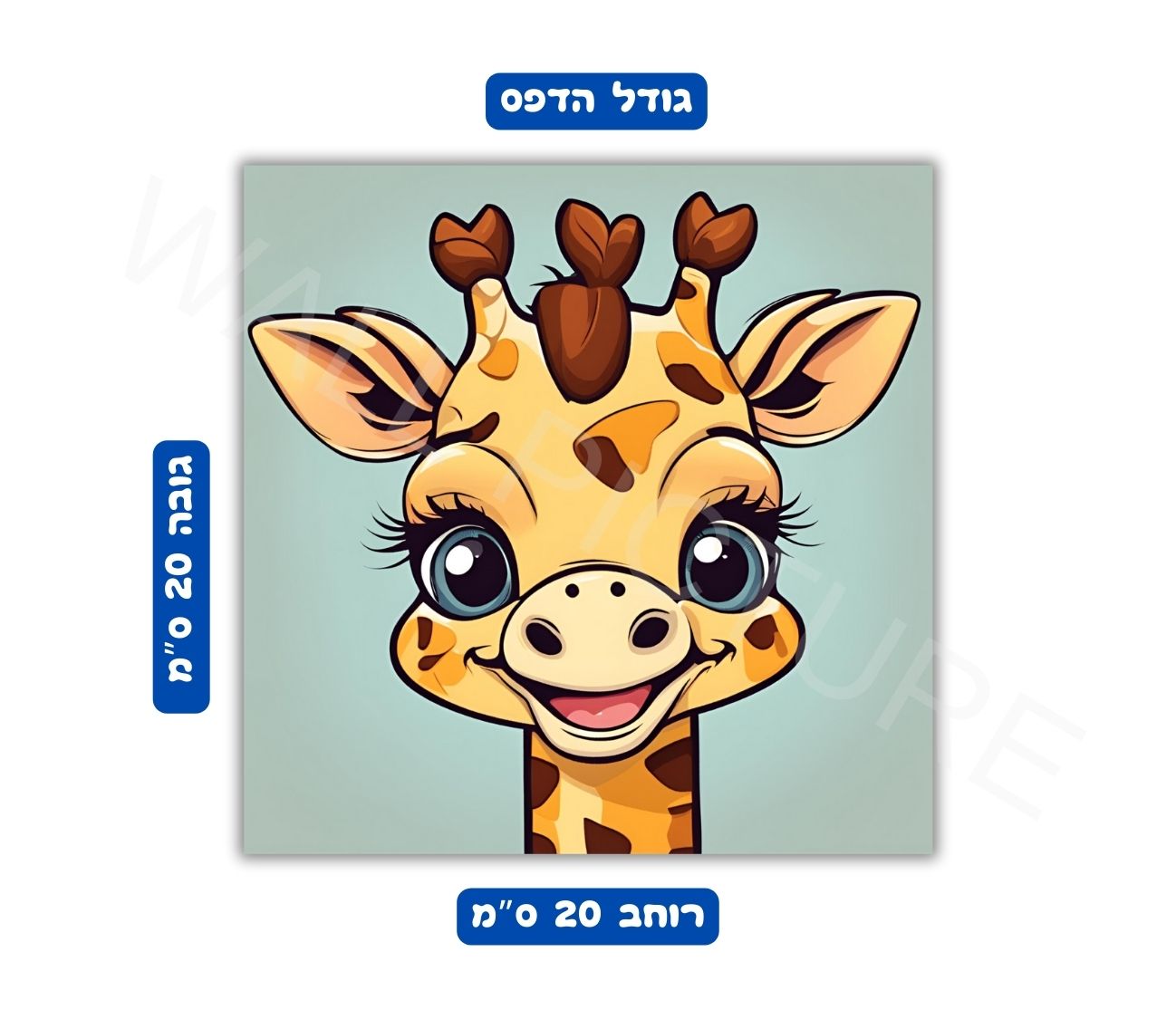 מידות פוסטר תמונת קיר